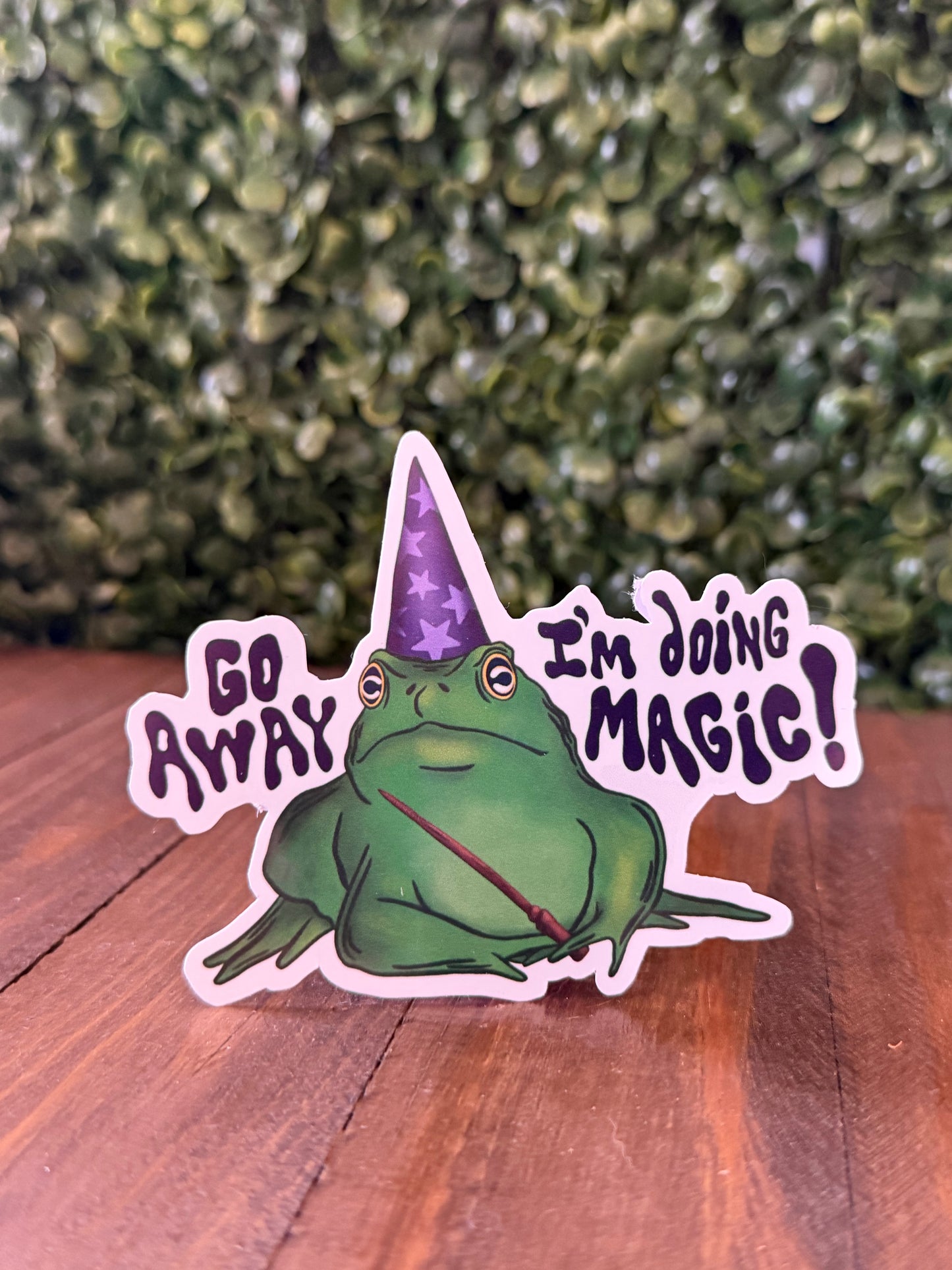 Go Away, I’m Doing Magic!